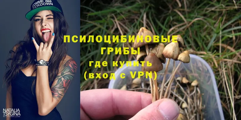 мега вход  Суоярви  Галлюциногенные грибы MAGIC MUSHROOMS 