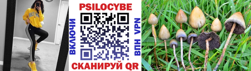 Галлюциногенные грибы Cubensis  Суоярви 